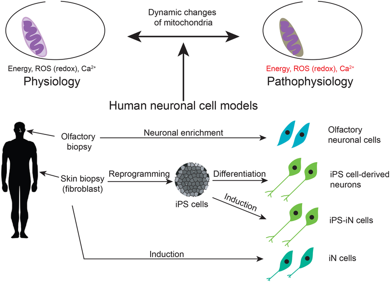 Figure 2: