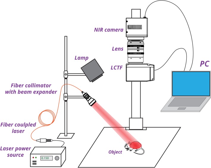 Fig. 2