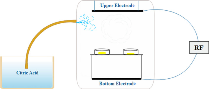 FIGURE 1