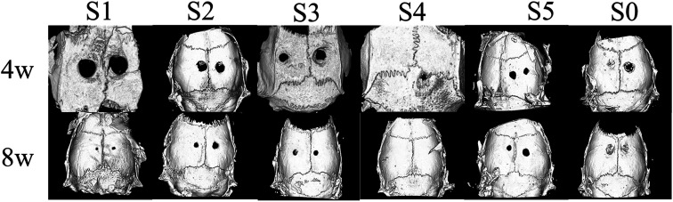 Fig. 5