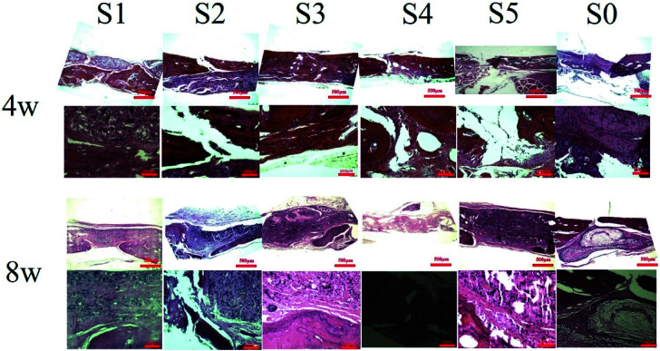 Fig. 6