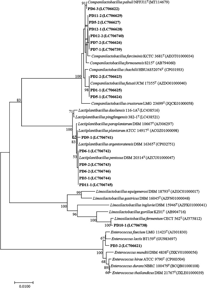 Fig. 3.