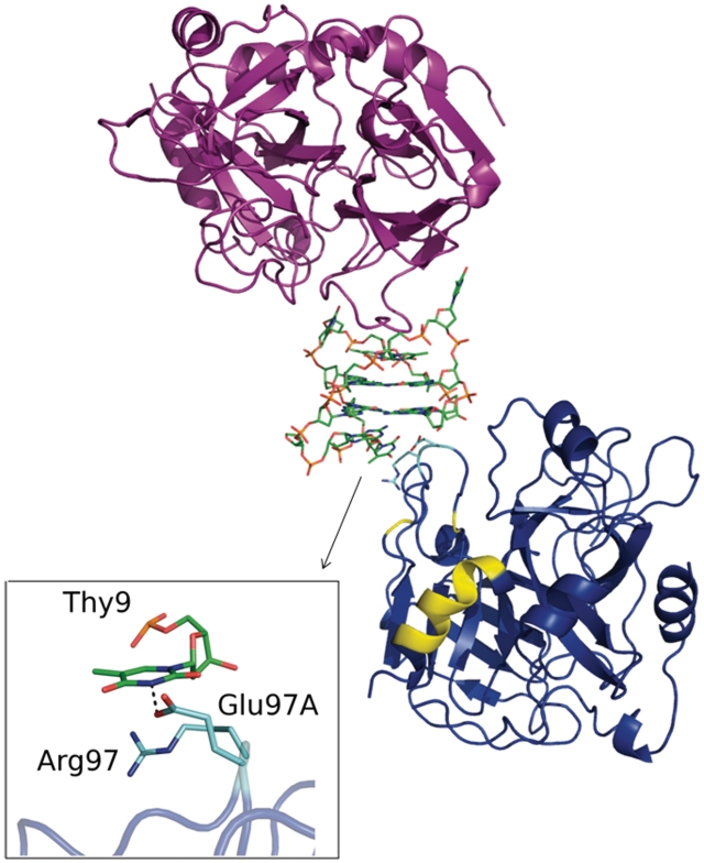 Figure 5.