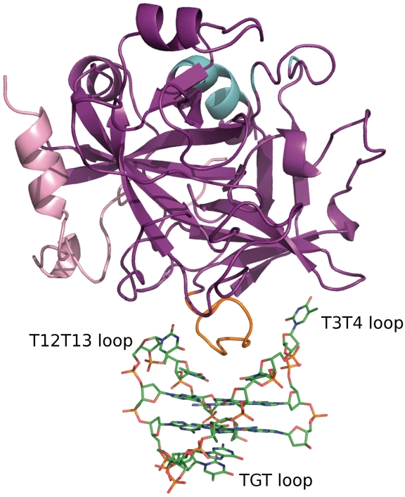 Figure 2.