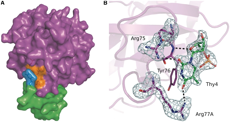 Figure 4.