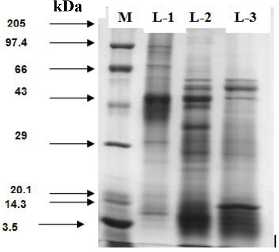 Fig. 1: