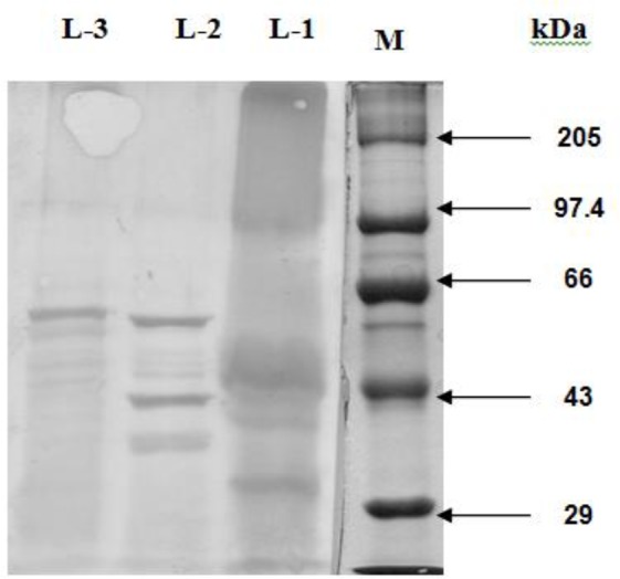 Fig. 4: