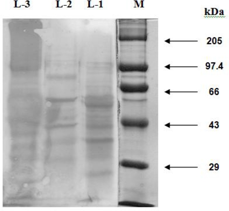 Fig. 3: