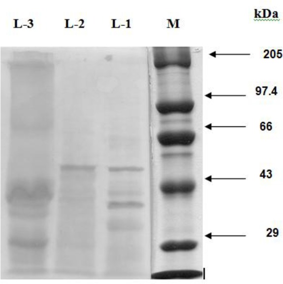 Fig. 2: