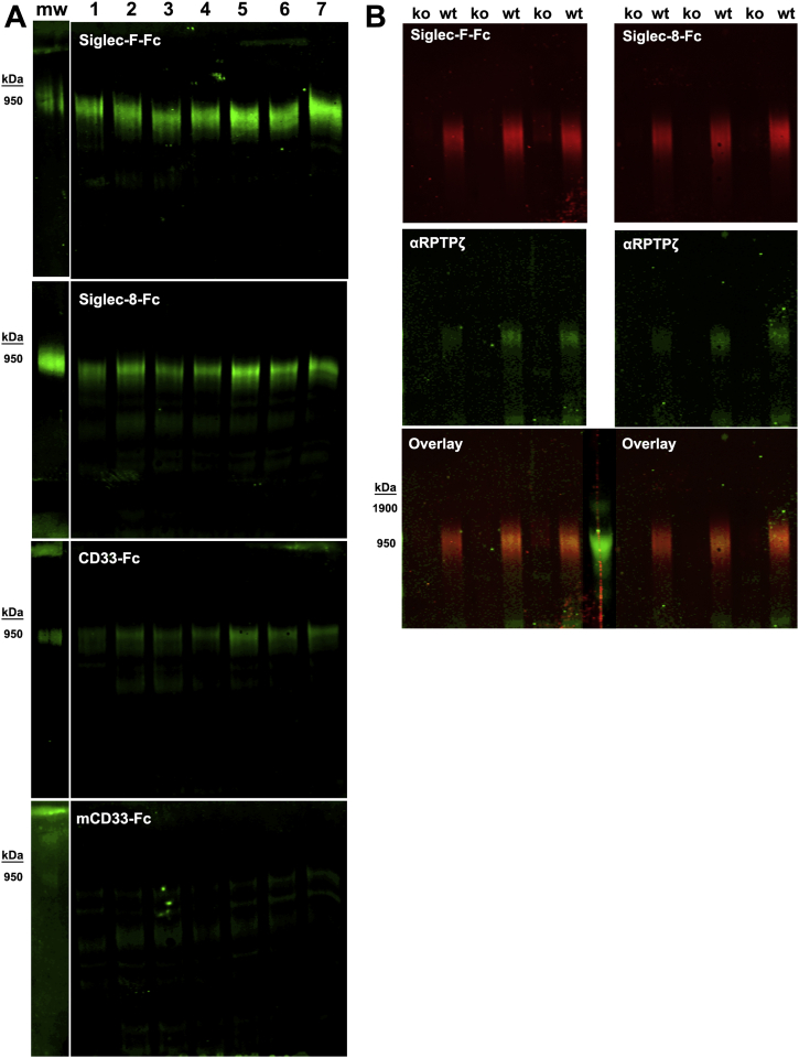 Figure 6