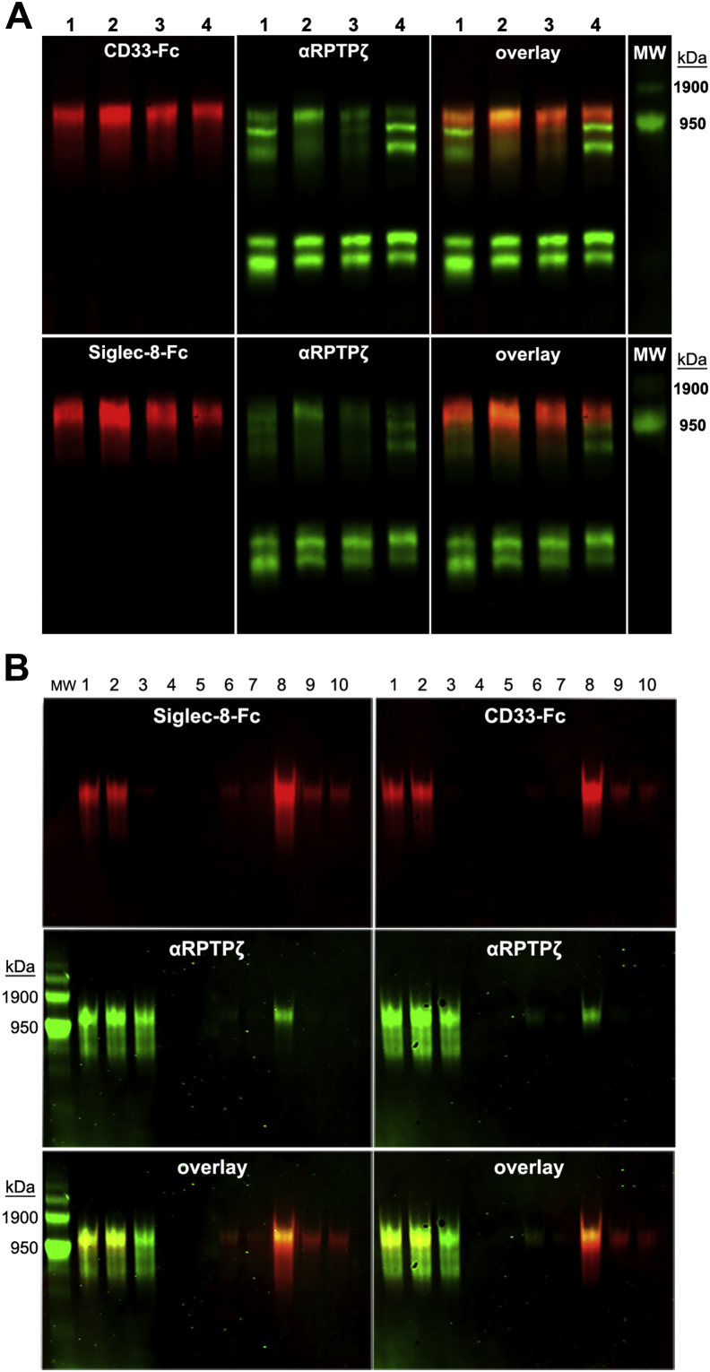 Figure 4