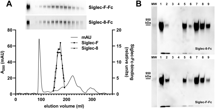 Figure 9