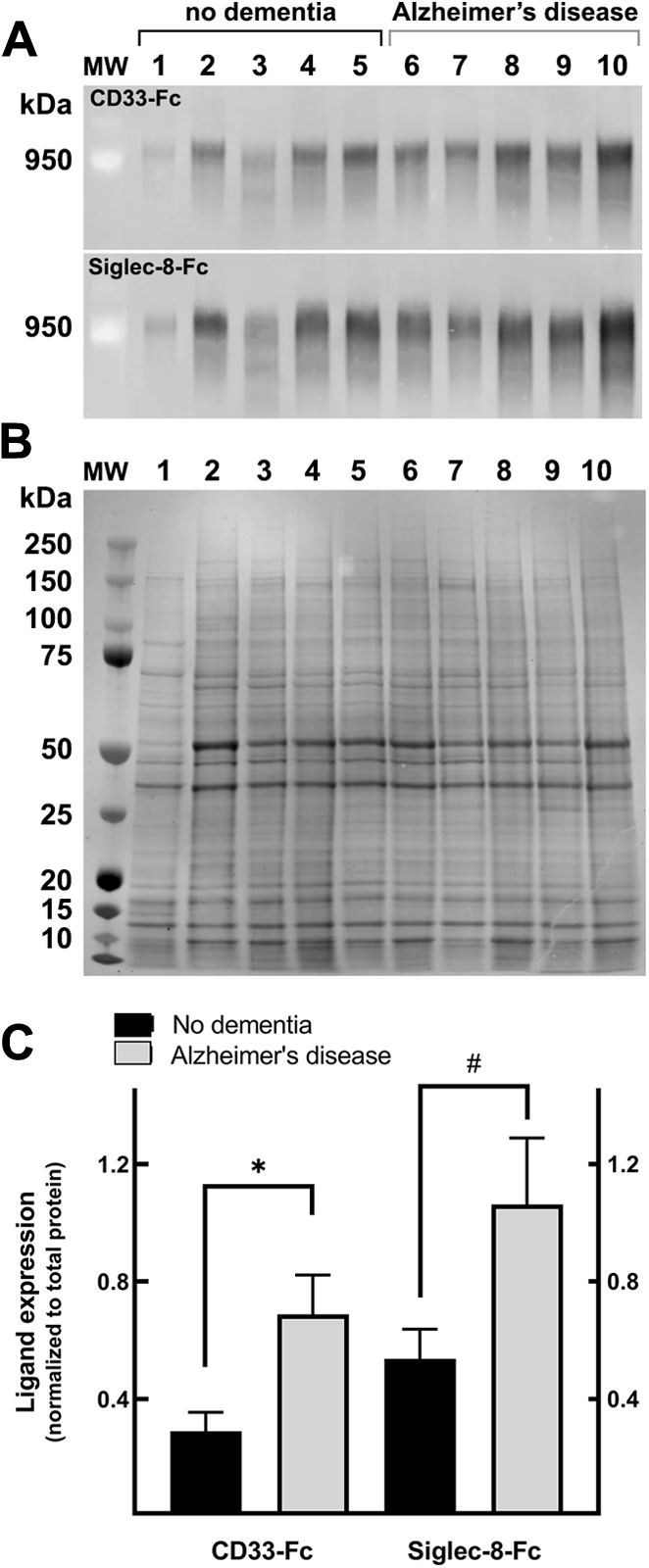 Figure 5