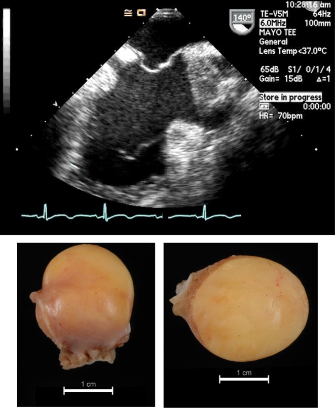 Figure 9