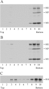 FIG. 4.