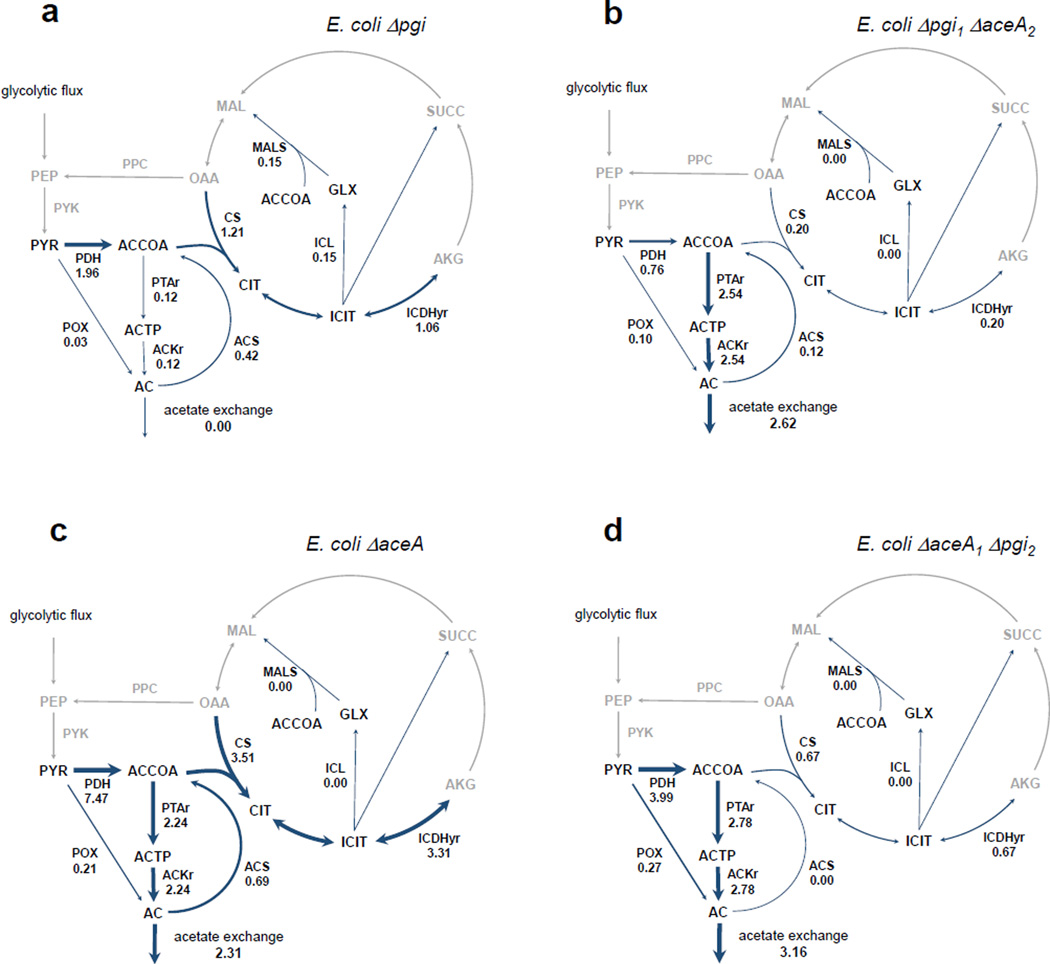 Fig. 3