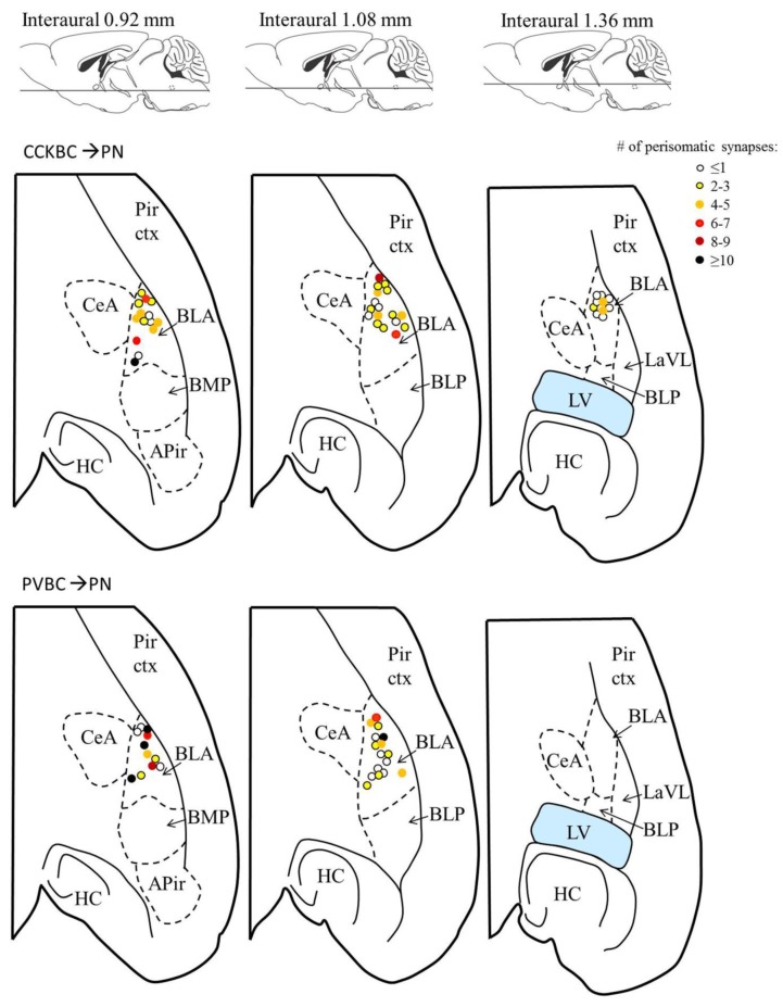 Figure 5—figure supplement 1.