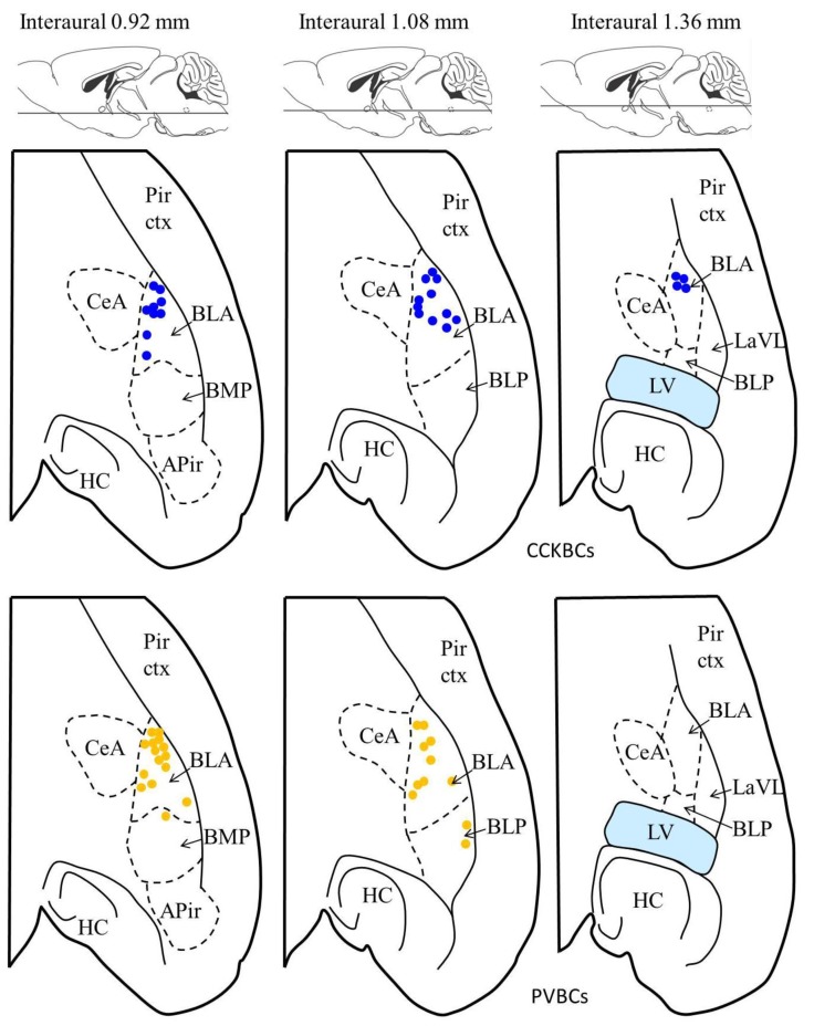 Figure 1—figure supplement 2.