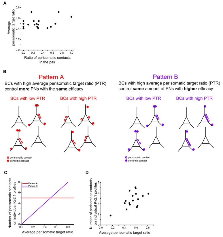 Figure 8—figure supplement 1.