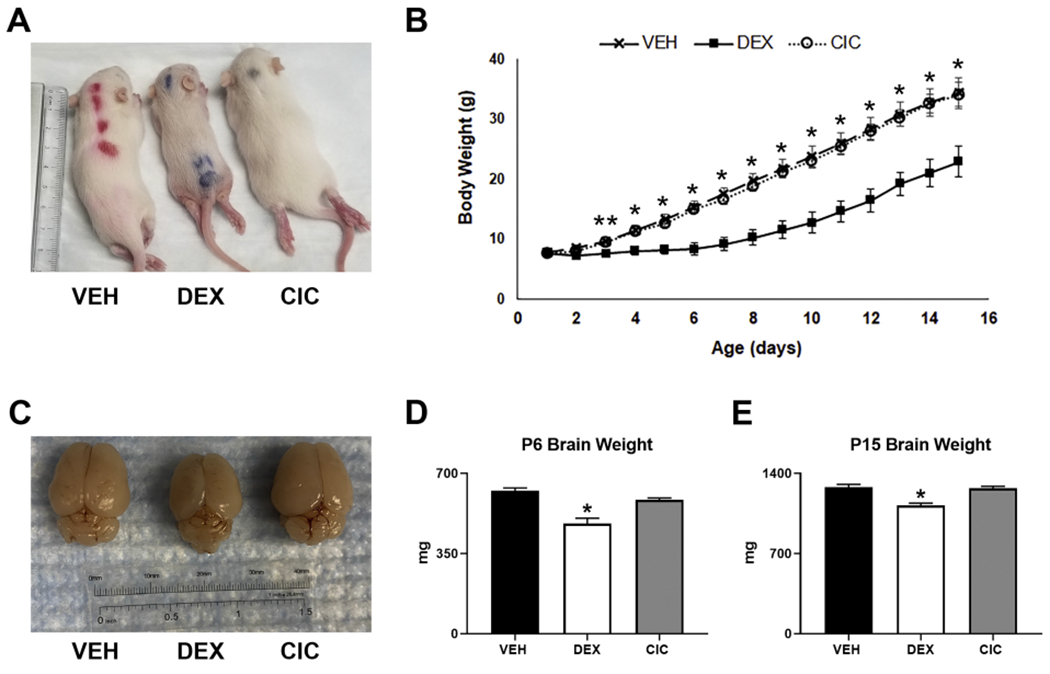 Figure 2.