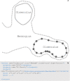 Fig. 10