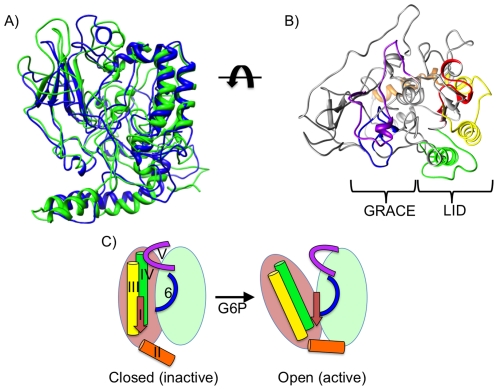 Figure 9