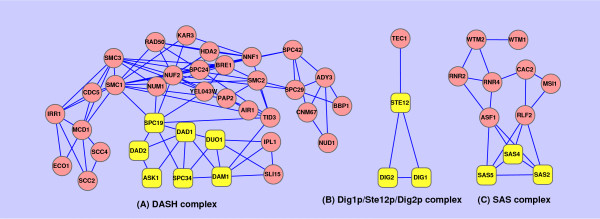 Figure 5 