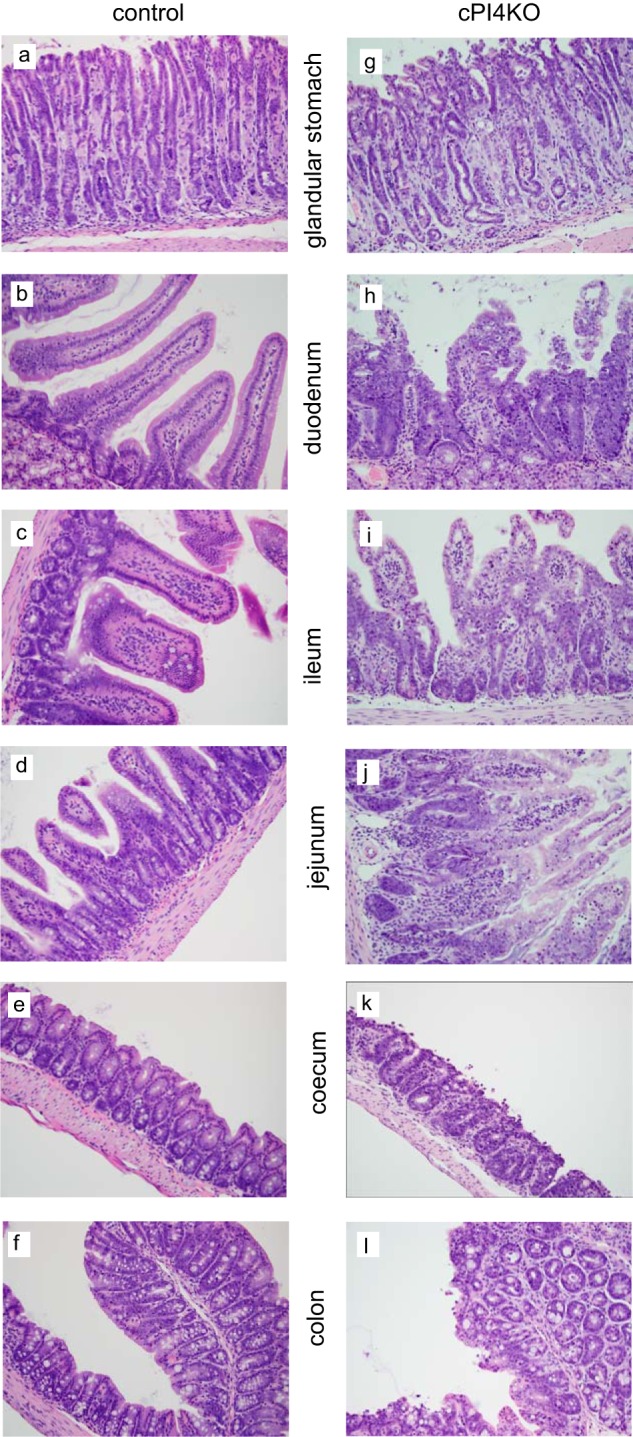 FIGURE 9.