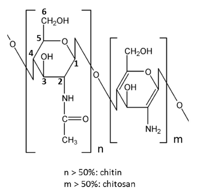 Figure 19