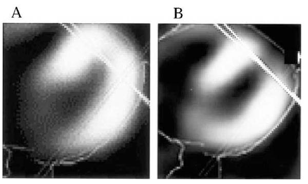 FIG. 8