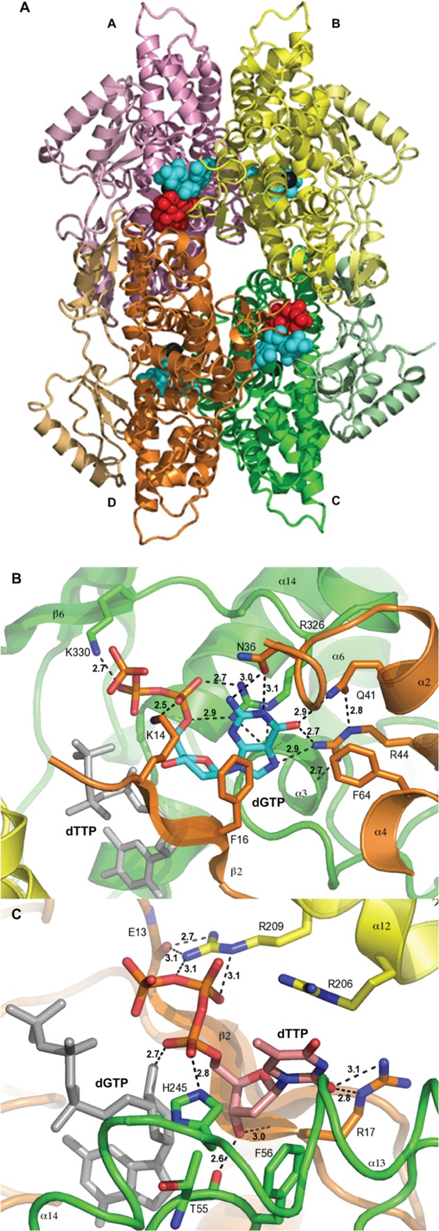 FIGURE 1.