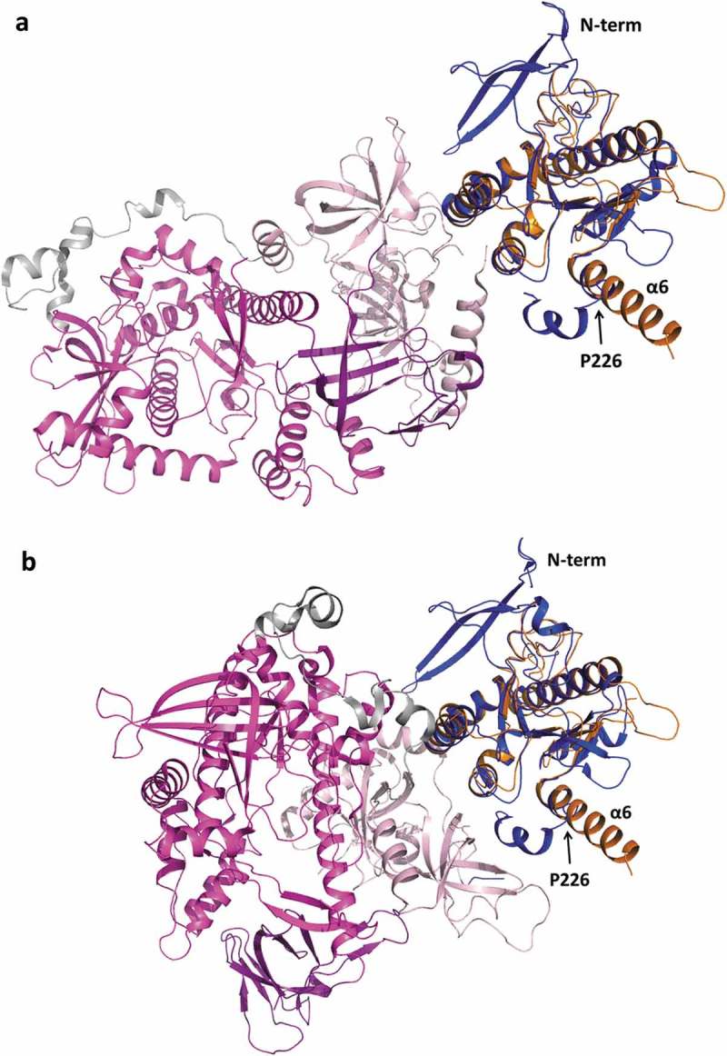 Figure 6.