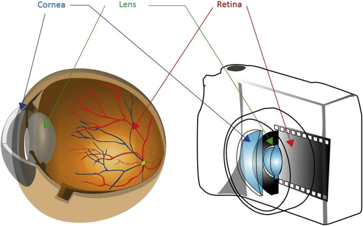 Fig. 1