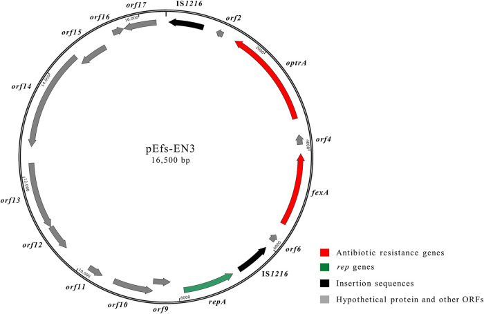 FIG 2