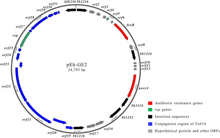 FIG 4