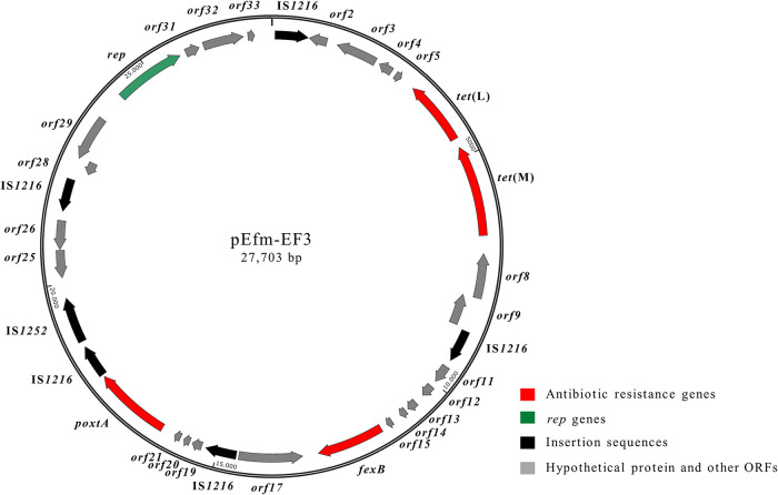 FIG 3