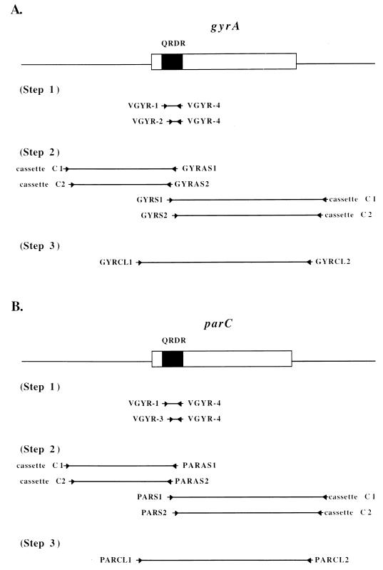 FIG. 1