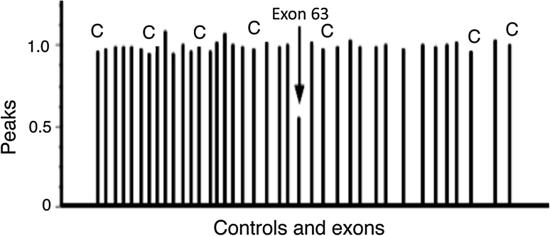 Fig. 1