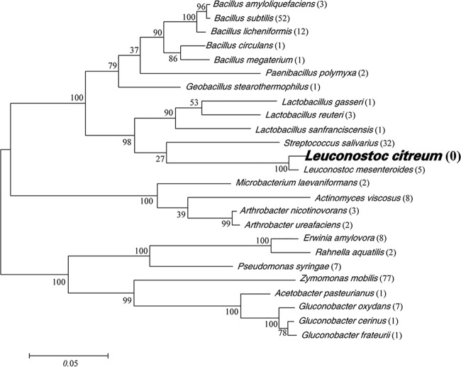 FIG 6