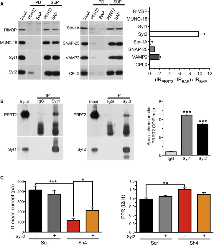 Figure 7