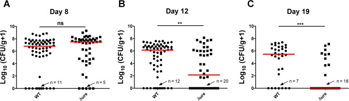 Fig 5