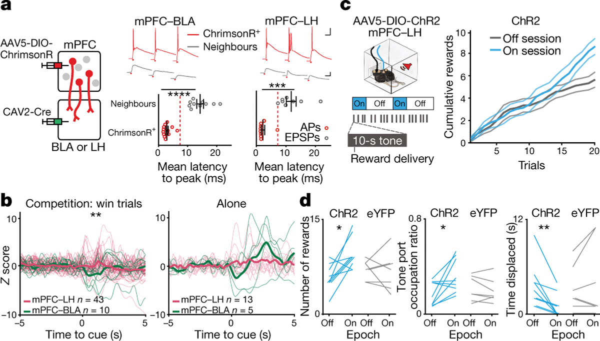 Figure 4: