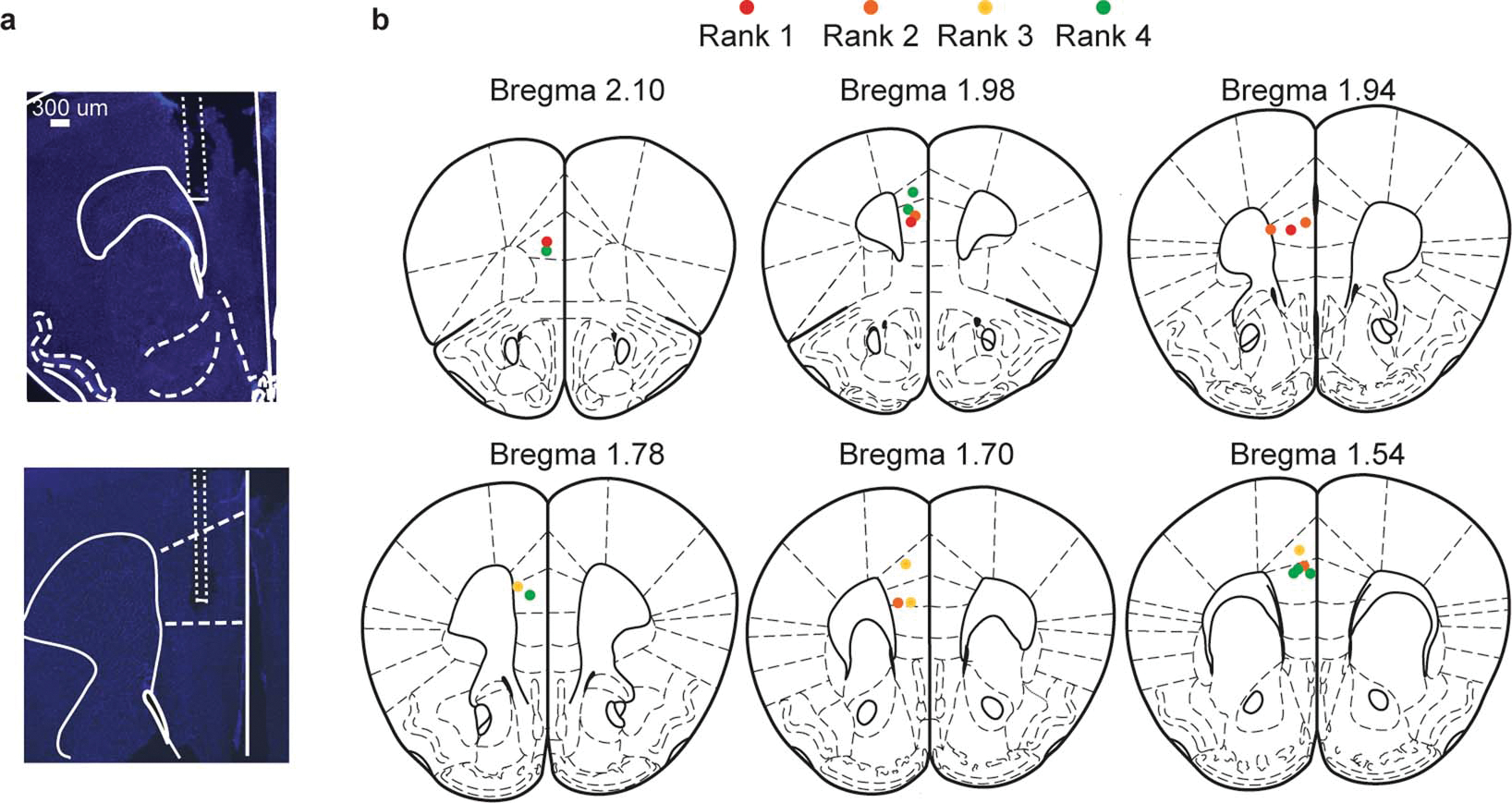 Extended Data Figure 4: