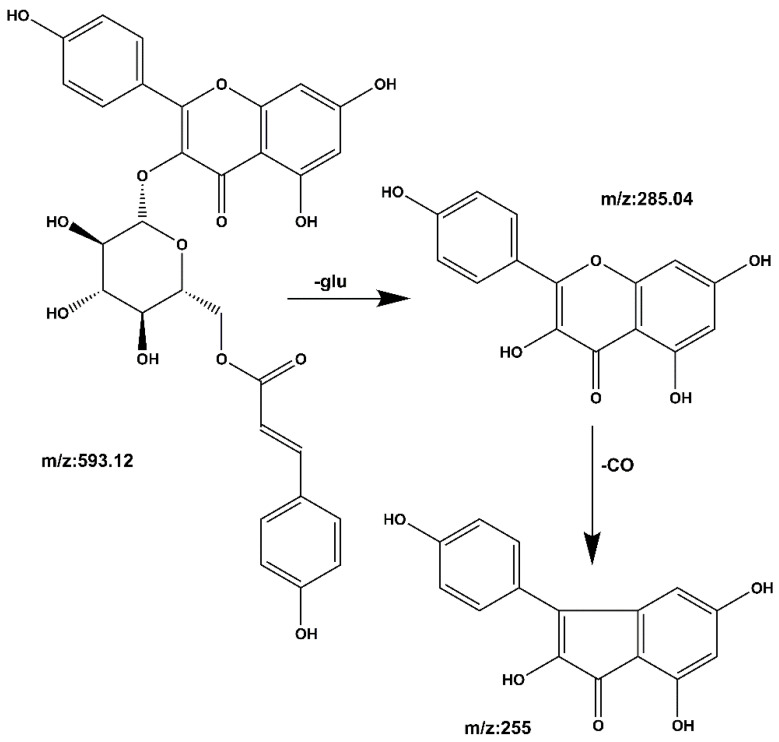 Figure 12