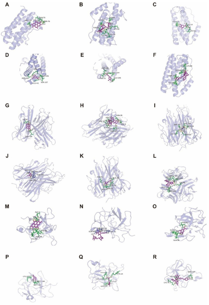 Figure 13