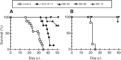 FIG. 3.