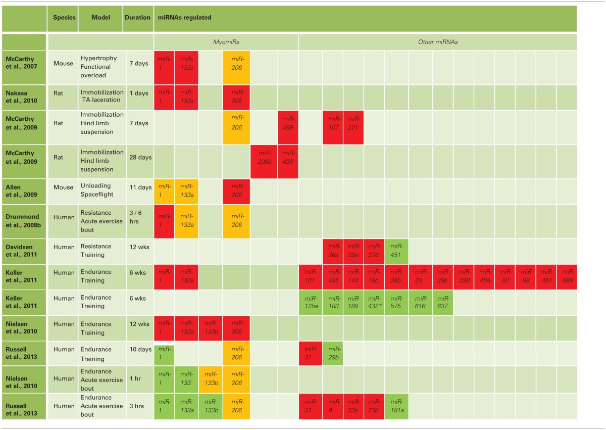 graphic file with name fphys-04-00266-i0001.jpg