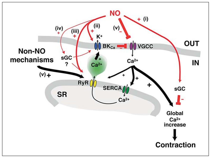 Fig. 8.