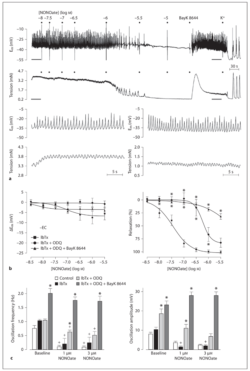 Fig. 6.