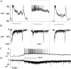 Fig. 10.